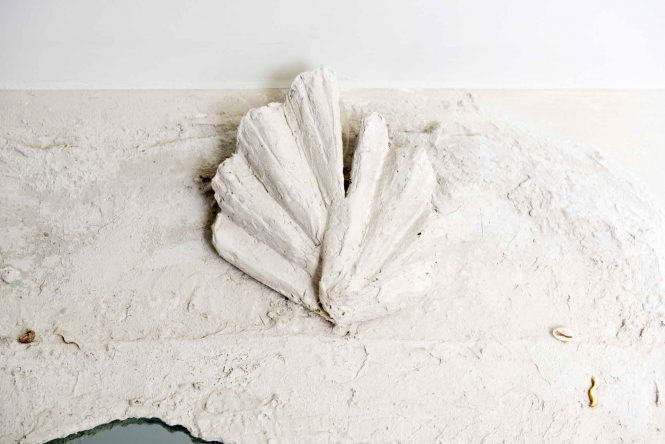 Shell light, halchimia, 15x12 cm