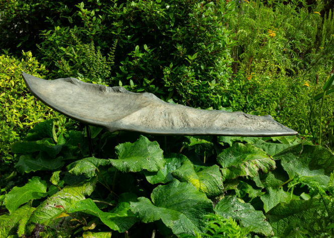 Wings of Silence I, sculpture by Louise Renaud, 140 x 45 cm, bronze